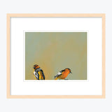 11 x 14 Limited Edition Art Print - We Met Cute In The “As Is” Section At IKEA, Yet...