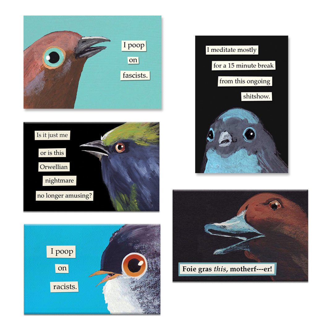 Troubled Birds for Troubled Times Magnet Pack