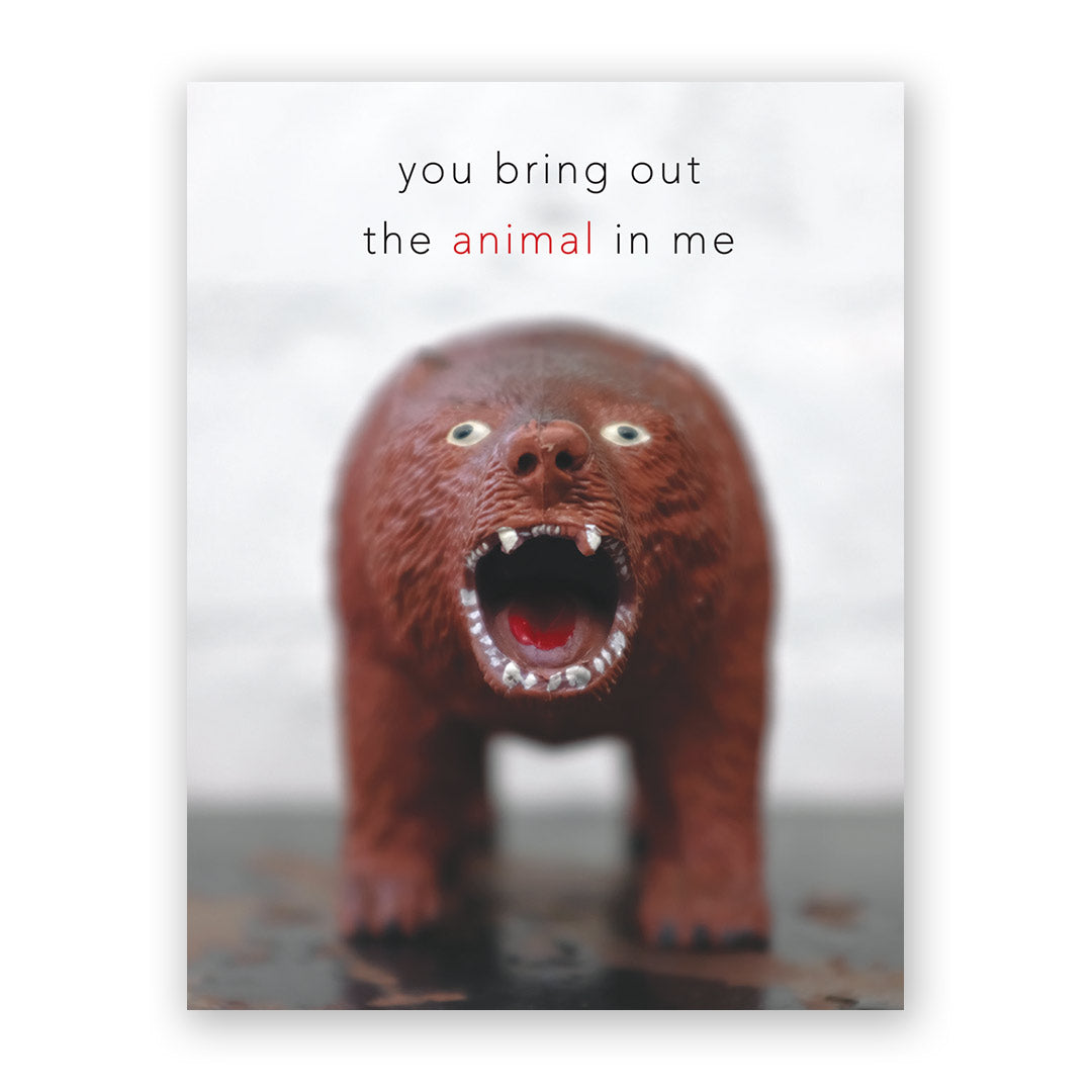 Animal Bear Card