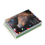 Sleigh Girl Sleigh Card