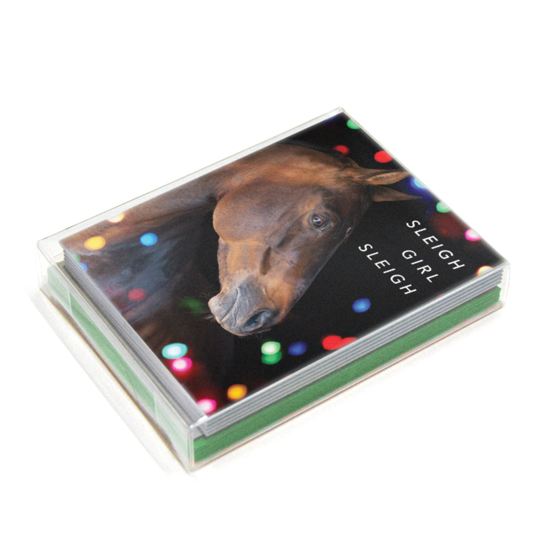 Sleigh Girl Sleigh Card