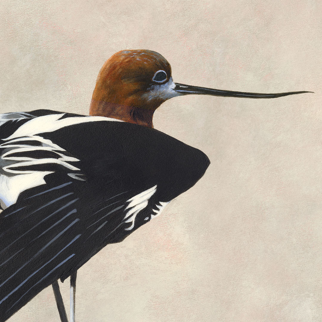 Would A “Trad Dad” Be Rocking Full Ink Sleeves Depicting The Characters From The American Mockumentary Sitcom Television Series “The Office”?