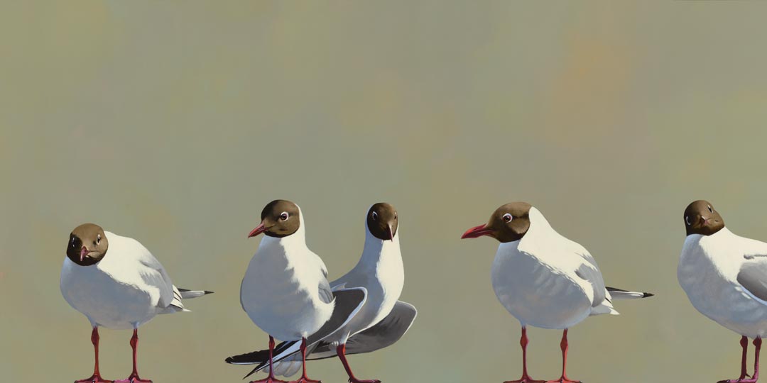 How To Write Letters Of Condolence To Folks Who Have Lost Their Got-Damn Minds