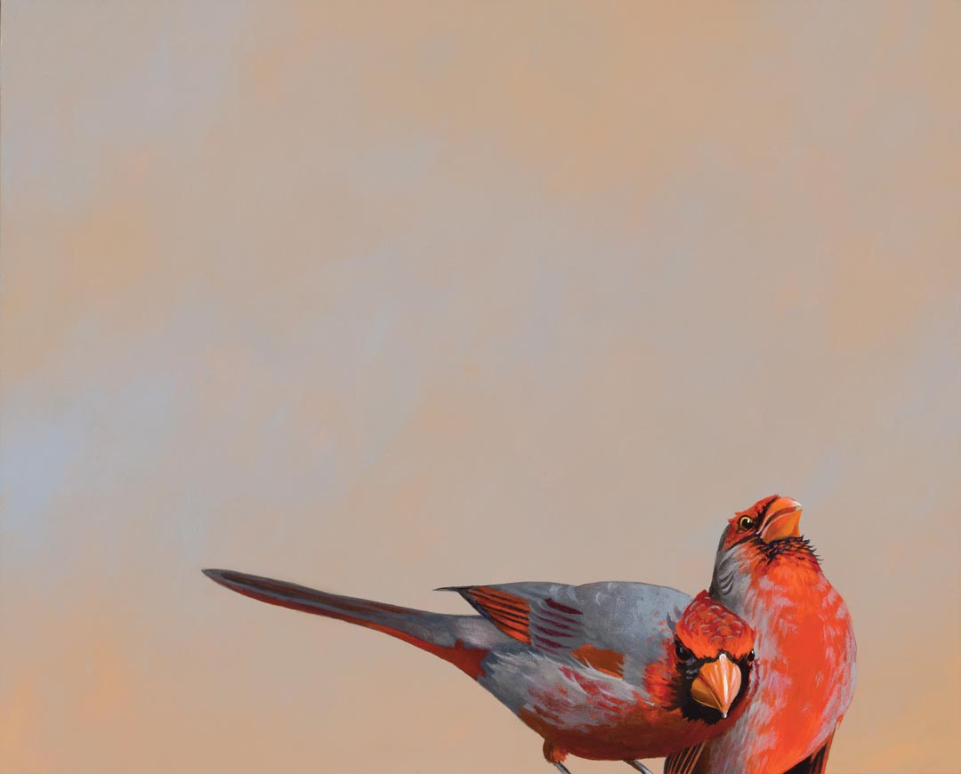 Five Ways To Stretch Today’s Dollar Without Hiding Your Sexism, Xenophobia And Racism Behind Feigned Indignation About The Price Of Eggs