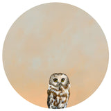 Secondhand Embarrassment Is My Love Language