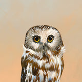 Secondhand Embarrassment Is My Love Language