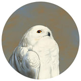 While An Effective Method Of Fast Weight Loss, The Lopping Off Of Limbs Must Always Be Done With Guidance From Youtube Videos With AT LEAST Forty Views, And Should Be Considered A Last Resort Kind Of Deal, Like For A Class Reunion Or Something