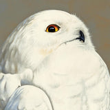 While An Effective Method Of Fast Weight Loss, The Lopping Off Of Limbs Must Always Be Done With Guidance From Youtube Videos With AT LEAST Forty Views, And Should Be Considered A Last Resort Kind Of Deal, Like For A Class Reunion Or Something