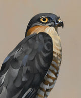 Titles Of Songs That Contain The Lyric “Everything Is Gonna Be Alright” Must Now Carry An Asterisk