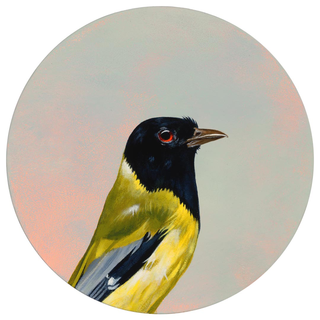 I Contain Trace Amounts Of Pissiness, But Not Enough To Kill