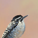 My AI Girlfriend Recently Informed Me That I Appear “Neither Sticky Nor Greasy,” And I Feel Like I’m Walking On Air