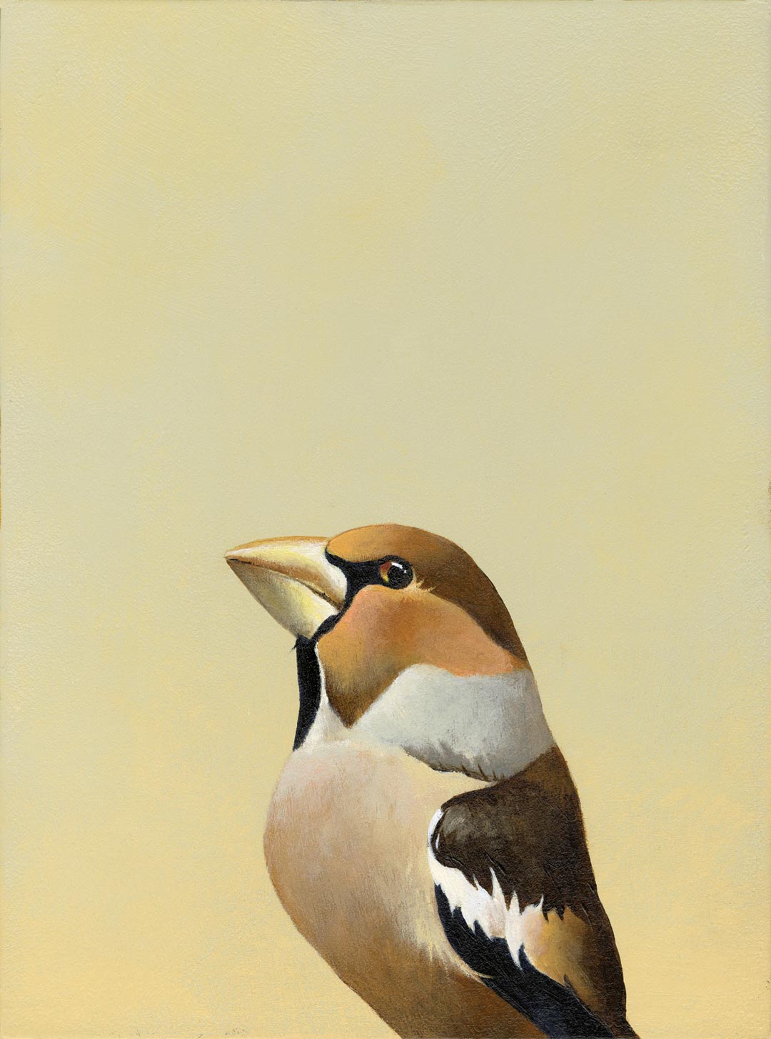 I Don’t Do Things Halfway—I Usually Quit Immediately And Let Everything Peter Out From There