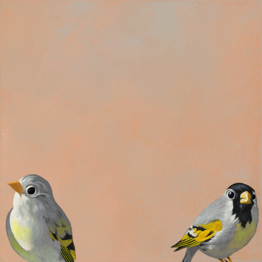 After Taking Ayahuasca And Undergoing A Profound And Transformative Journey, I Came Away With Two Revelations: I Can’t Spell Ayahuasca, And I’m Pretty Sure That Solstice Dave, My Ayahuasca Shaman Guide, Is Boning My Wife