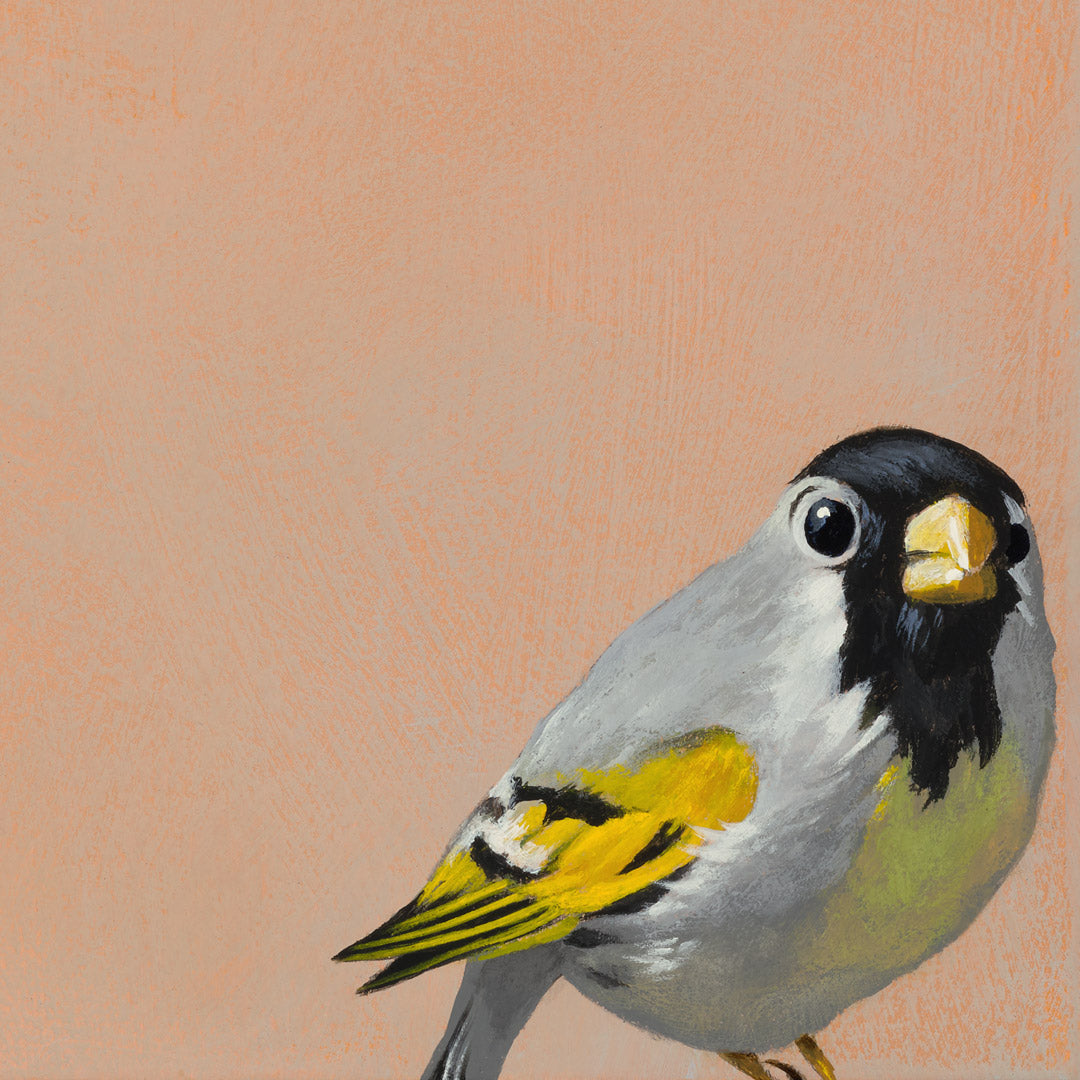 After Taking Ayahuasca And Undergoing A Profound And Transformative Journey, I Came Away With Two Revelations: I Can’t Spell Ayahuasca, And I’m Pretty Sure That Solstice Dave, My Ayahuasca Shaman Guide, Is Boning My Wife