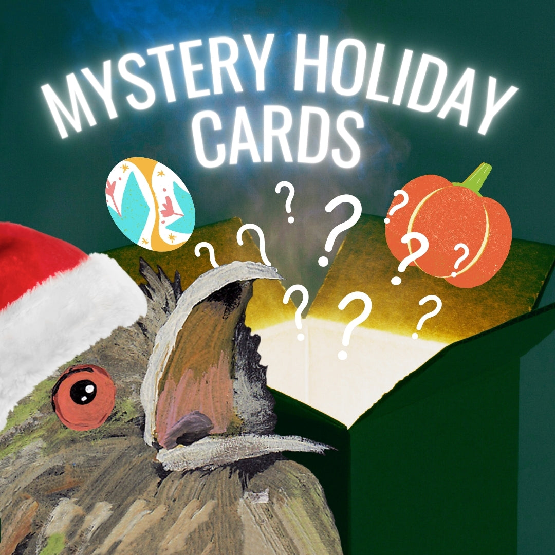 Mystery Holiday Card Bag