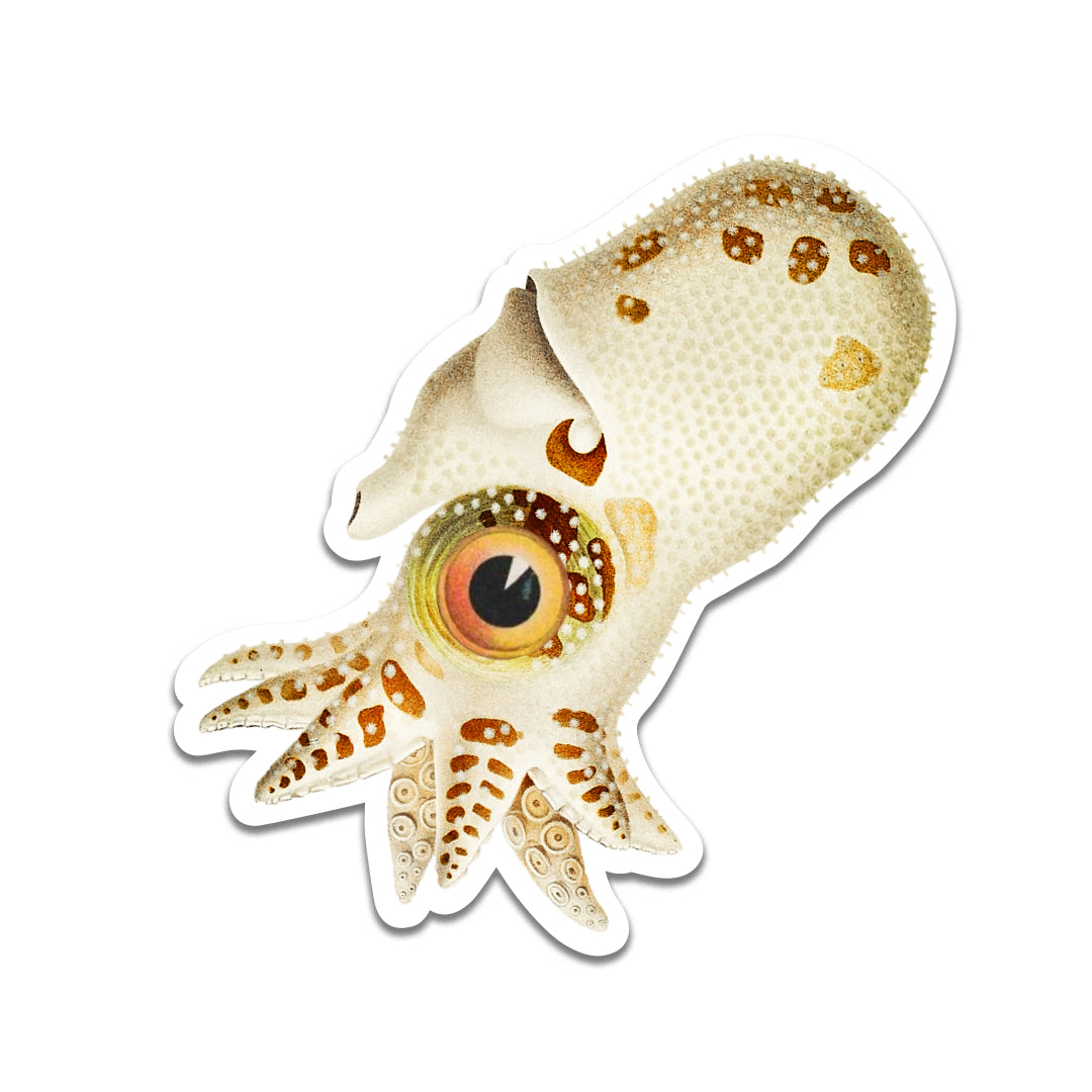 Squid Sticker – The Mincing Mockingbird & The Frantic Meerkat