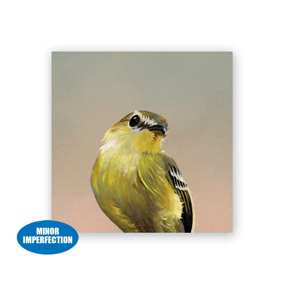 Sale - 4 x 4 Flycatcher Wings on Wood Decor