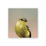 4 x 4 Flycatcher Wings on Wood Decor