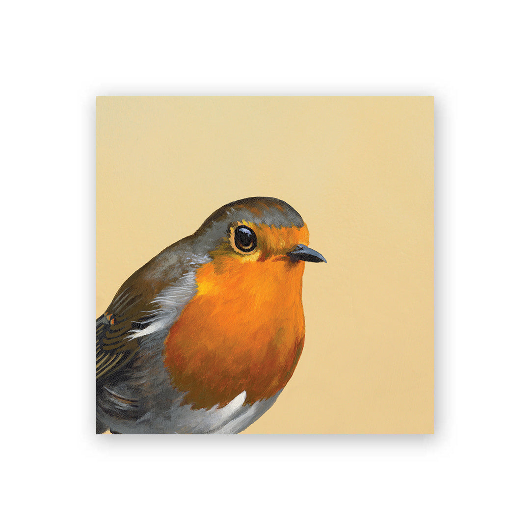 4 x 4 European Robin Wings on Wood Decor