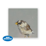 Sale - 4 x 4 Finch Wings on Wood Decor