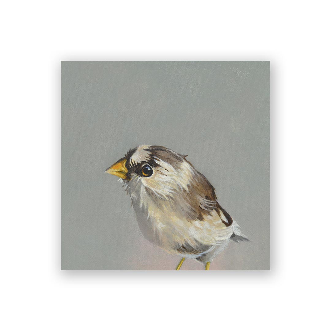 4 x 4 Finch Wings on Wood Decor