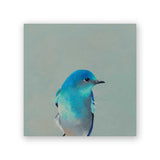 6 x 6 Mountain Bluebird Wings on Wood Decor