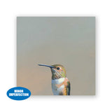 Sale - 6 x 6 Hummingbird #5 Wings on Wood Decor