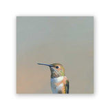 Sale - 6 x 6 Hummingbird #5 Wings on Wood Decor