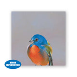 Sale - 6 x 6 Painted Bunting Wings on Wood Decor