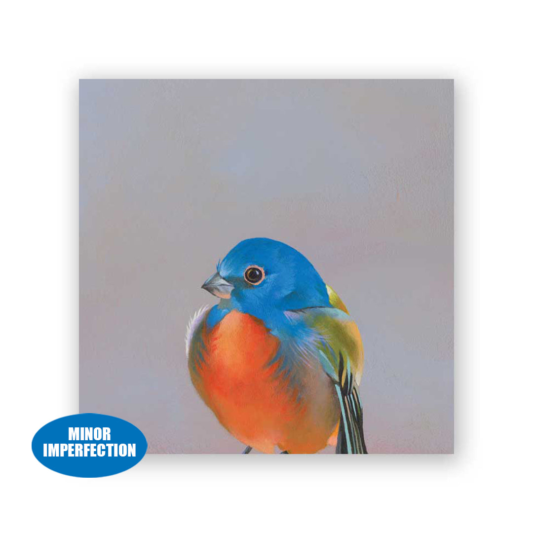 Sale - 6 x 6 Painted Bunting Wings on Wood Decor