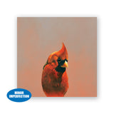 Sale - 6 x 6 Northern Cardinal Wings on Wood Decor