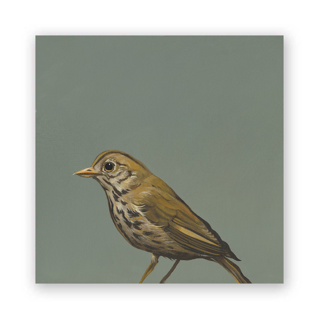 8 x 8 Thrush Wings on Wood Decor