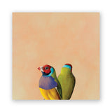 8 x 8 Gouldian Finch Pair Wings on Wood Decor