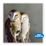 Sale - 10 x 10 Barn Owl Pair Wings on Wood Decor