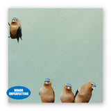 Sale - 10 x 10 Fictional Finch Group Wings on Wood Decor