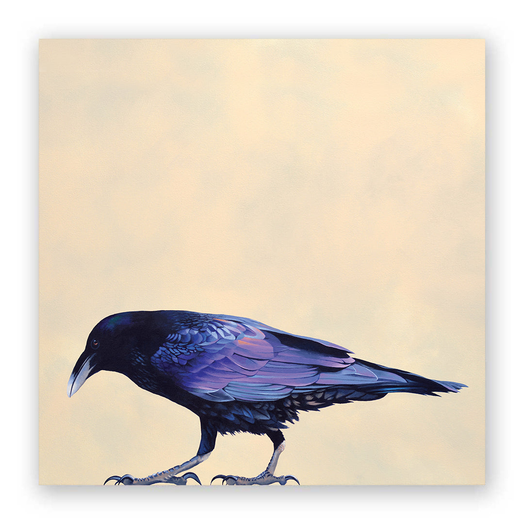 10 x 10 Raven Wings on Wood Decor