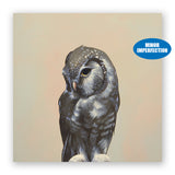 Sale - 10 x 10 Owl Wings on Wood Decor