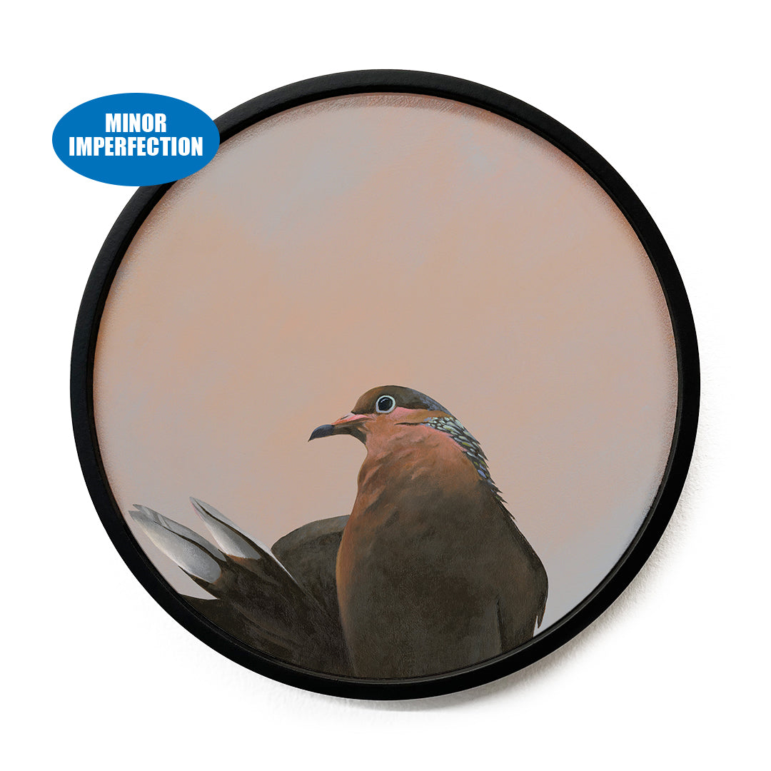 Sale - 8 inch Round African Dove Framed Wings on Wood Decor