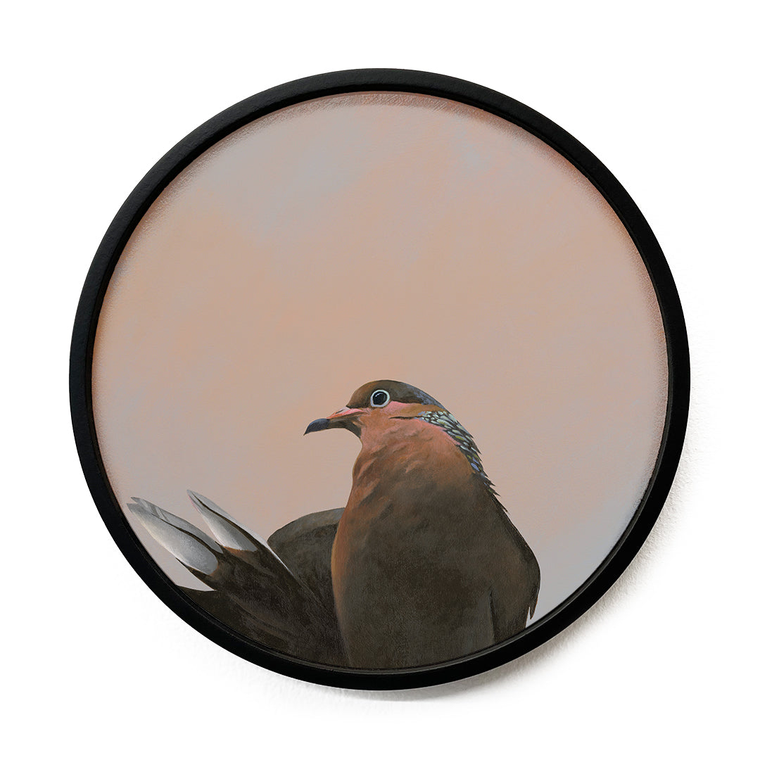 8 inch Round African Dove Framed Wings on Wood Decor