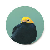 6 inch Round Manakin Wings on Wood Decor