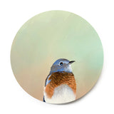 8 inch Round Western Bluebird Wings on Wood Decor