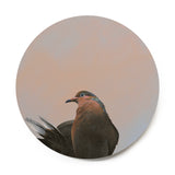8 inch Round Dove Wings on Wood Decor