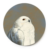 10 inch Round Snowy Owl Wings on Wood Decor