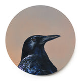 10 inch Crow Wings on Wood Decor