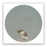 Matt Adrian Fine Art 2026 Wall Calendar
