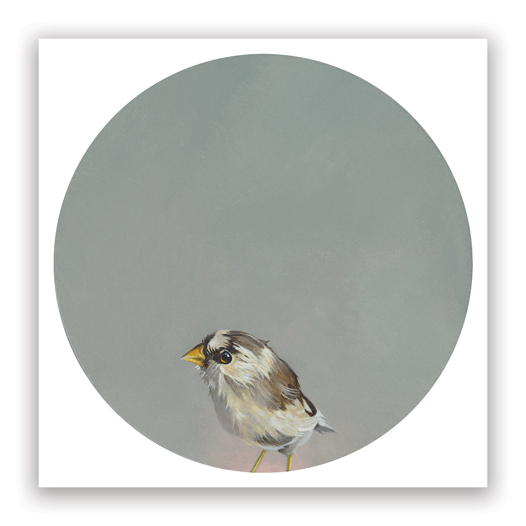 Matt Adrian Fine Art 2026 Wall Calendar