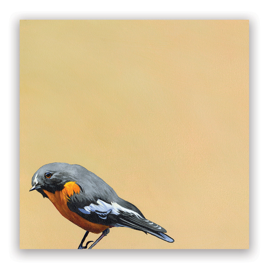 Matt Adrian Fine Art 2026 Wall Calendar