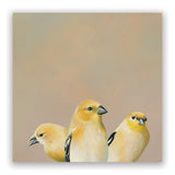Matt Adrian Fine Art 2026 Wall Calendar