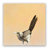 Matt Adrian Fine Art 2026 Wall Calendar