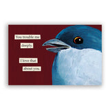 Troubled Birds 2026 Wall Calendar
